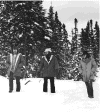 winterdelights.gif (70465 bytes)
